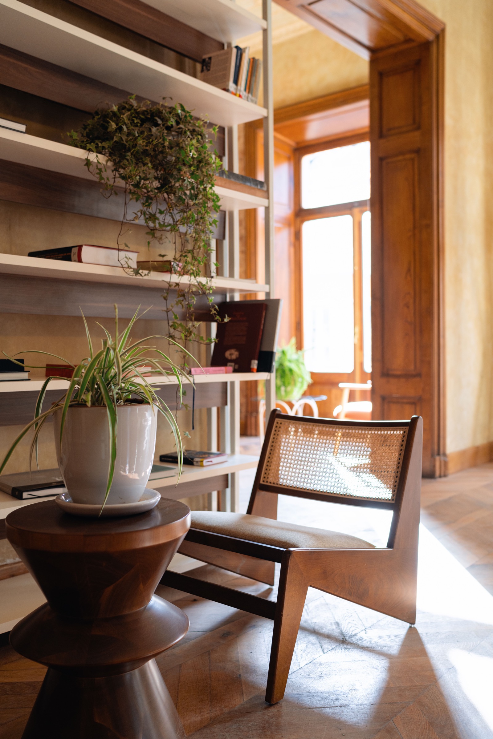A sunlit reading room with a wooden chair, books, and leafy houseplants